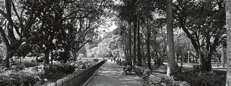 Tryb XPan monochromatyczny