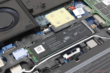 Zajęte gniazdo SSD w pobliżu środka. Firma Dell oferuje opcjonalną małą klapę na płycie dolnej, która ułatwia dostęp do tego dysku bez konieczności zdejmowania całej płyty dolnej
