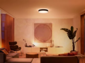 Mostek Philips Hue obsługuje teraz nadchodzące sceny całodniowe. (Źródło obrazu: Philips Hue)