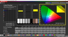 CalMAN ColorChecker skalibrowany (docelowa przestrzeń kolorów: P3)