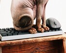 Firma Wallhack wkracza na rynek klawiatur i myszy dla graczy.