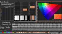 CalMAN: ColorChecker (skalibrowany)