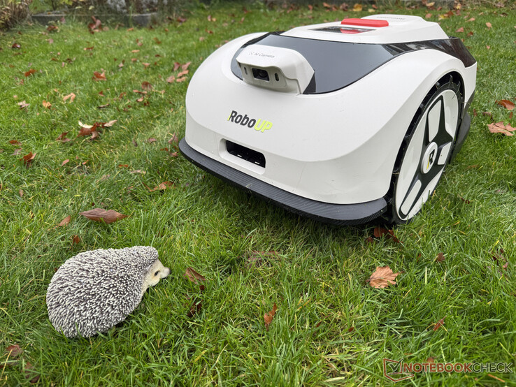 Raccoon 2 SE nie zawsze rozpoznawał naszego manekina jeża w teście