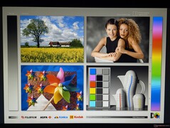 Szerokie kąty widzenia IPS