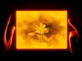 Tablet Daylight wykorzystuje odblaskowy wyświetlacz LCD, aby chronić oczy. (Zdjęcie: Daylight Tablet)