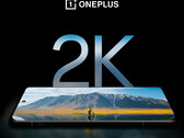 Mówi się, że OnePlus 12 ma najlepszy wyświetlacz w smartfonie, przynajmniej według OnePlus. (Źródło zdjęcia: OnePlus)