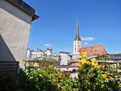 Aparat główny