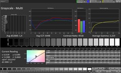 Skala szarości (profil: Profesjonalny, docelowa przestrzeń kolorów: sRGB)