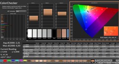 CalMAN: ColorChecker
