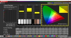 CalMAN ColorChecker (profil: sRGB, docelowa przestrzeń kolorów sRGB)