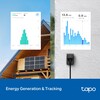 TP-Link Tapo P410M Smart Wi-Fi Outdoor Plug może monitorować zużycie energii. (Źródło obrazu: Tapo)
