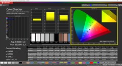 CalMAN ColorChecker (docelowa przestrzeń kolorów P3)