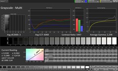 Skala szarości CalMAN
