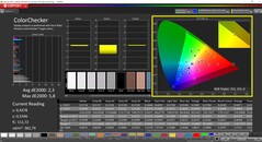 CalMAN ColorChecker (profil TrueColor: Display-P3)