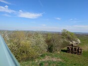 Sony Xperia 1 VI - 1x zoom (aparat główny)