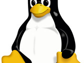 Nadchodzi Linux Kernel 6.11, który zapewnia wsparcie dla nowego sprzętu. (Zdjęcie: Wikimedia Commons)