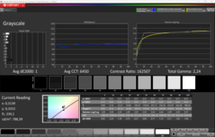 Kalibracja skali szarości CalMAN