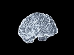 Artystyczny obraz mózgu (źródło obrazu: Shawn Day via Unsplash; edytowane)