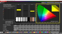 CalMAN ColorChecker (profil: Display P3, docelowa przestrzeń kolorów P3)