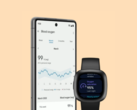 Fitbit przeprojektował strony Health Metrics w swojej aplikacji. (Źródło obrazu: Fitbit)