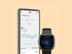 Fitbit przeprojektował strony Health Metrics w swojej aplikacji. (Źródło obrazu: Fitbit)