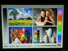 Szerokie kąty widzenia IPS