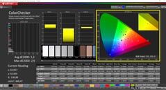 CalMAN ColorChecker (profil: P3, docelowa przestrzeń kolorów: P3)