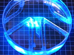 Biohybrydowy robot jest oświetlany światłem