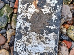 Po pięciu latach zanurzenia w Tamizie, iPad Mini pozwolił Met Police rozwiązać trwające sześć lat śledztwo. (Źródło zdjęcia: Met Police via BBC)