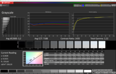 Skala szarości CalMAN