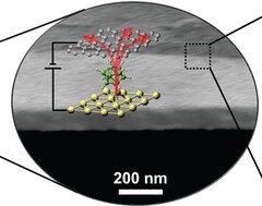 cienka jak molekuła warstwa tranzystorów termicznych o grubości 1 nm umieszczona na półprzewodnikach (Źródło zdjęcia: Science)