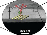 cienka jak molekuła warstwa tranzystorów termicznych o grubości 1 nm umieszczona na półprzewodnikach (Źródło zdjęcia: Science)