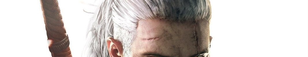 The Witcher 3